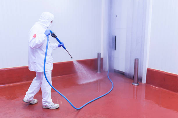 Best Spring Cleaning  in Texarkana, TX